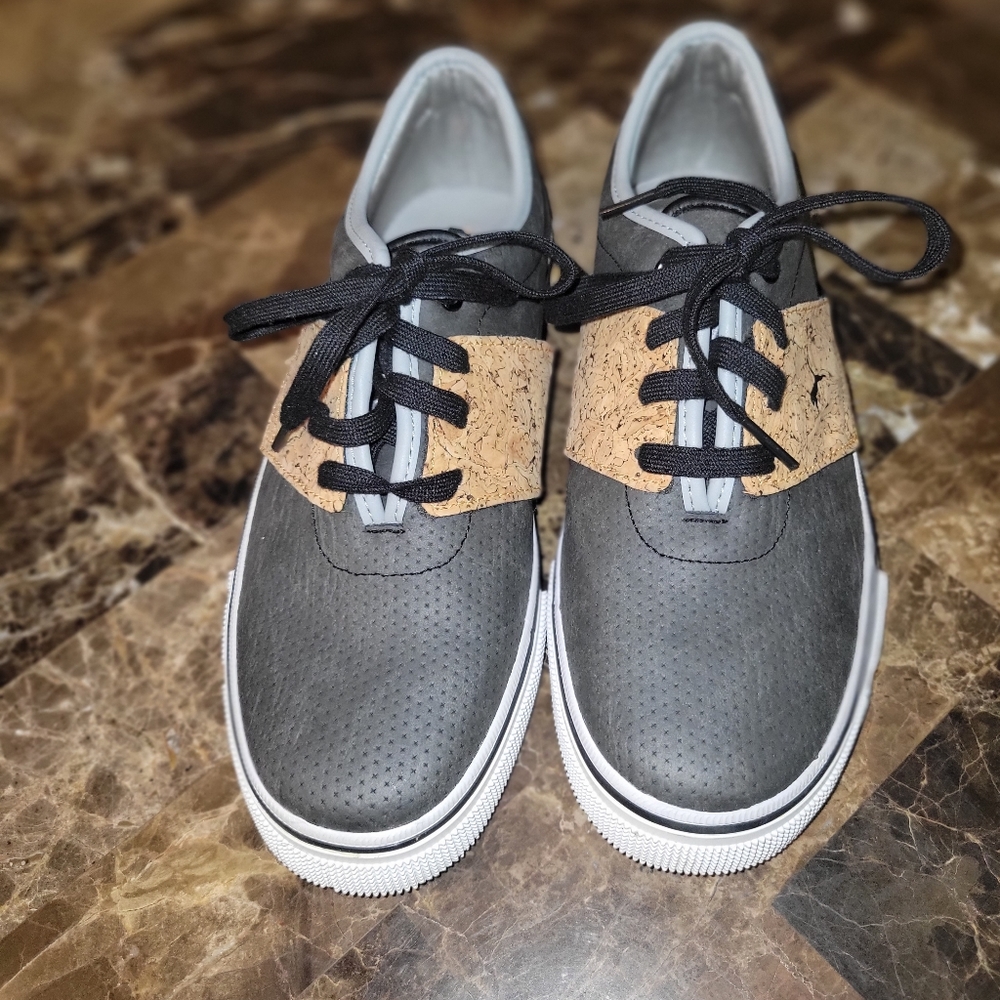 Grey pumas